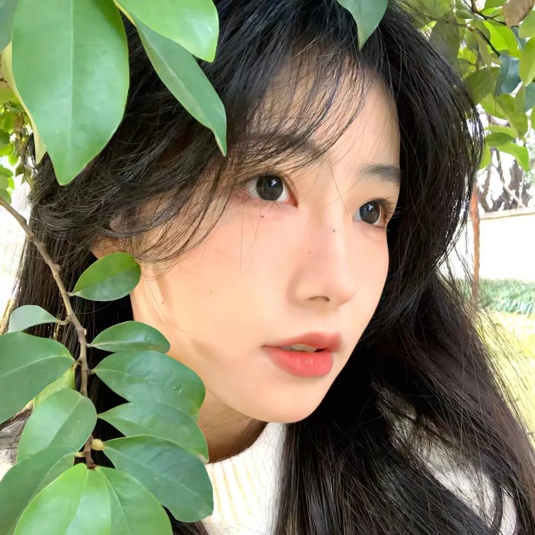 卡罗琳在午夜